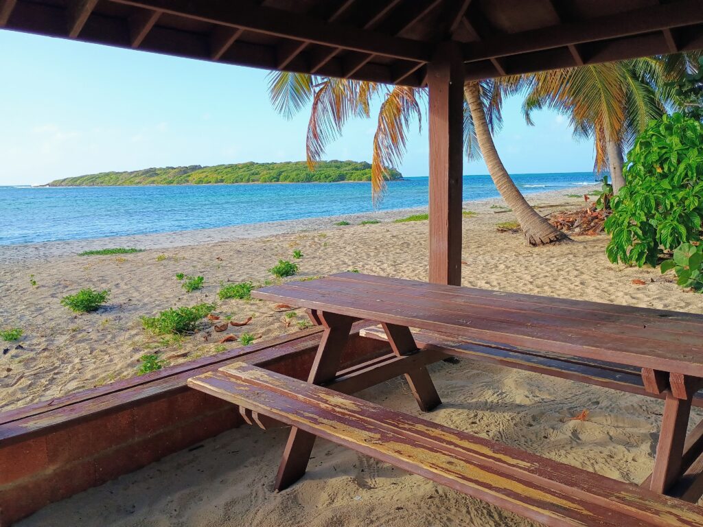Picnic Table at La Chiva